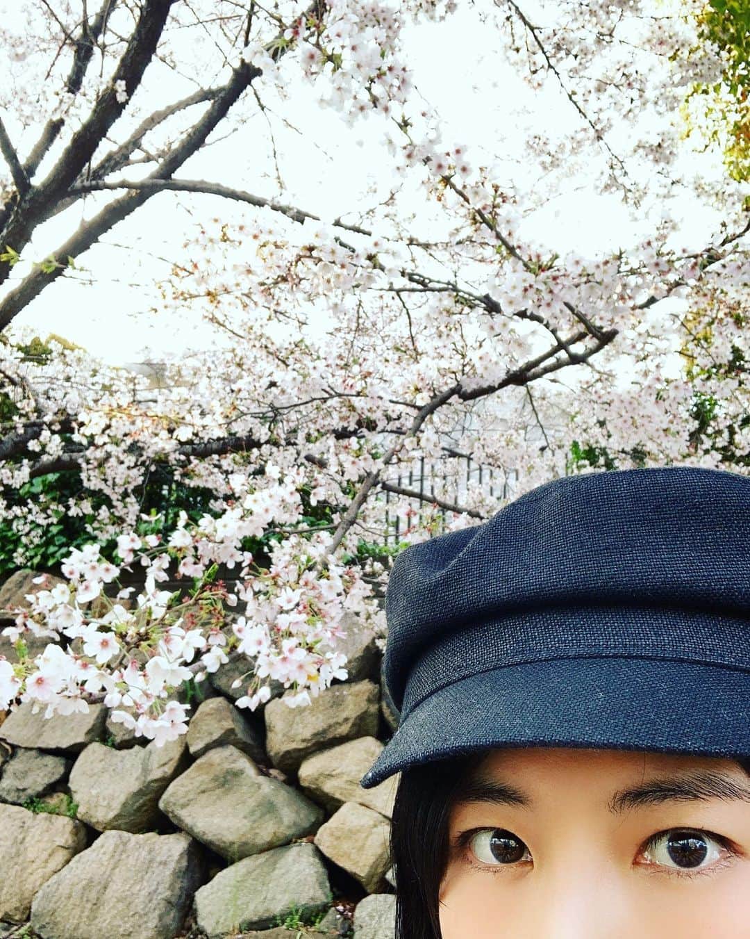 中江有里さんのインスタグラム写真 - (中江有里Instagram)「大阪にて。 ひとり静かに桜を愛でていました。  大阪城ホール付近は満開でした。  明日４月４日は「ウェークアップ！ぷらす」に出ます。」4月3日 20時17分 - yurinbow1226