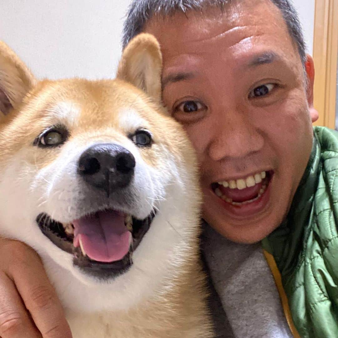 まる（まるたろう）さんのインスタグラム写真 - (まる（まるたろう）Instagram)「Stay safe. Stay home.✨🐶👴🏻✨みんな、不要不急な外出は我慢しようね。 #お仕事の人は気をつけながら頑張ってね #まるはおうちでゴロゴロするよ #オーノーイーツ #注文しよっかな #あの肉 #stayhome」4月3日 20時21分 - marutaro