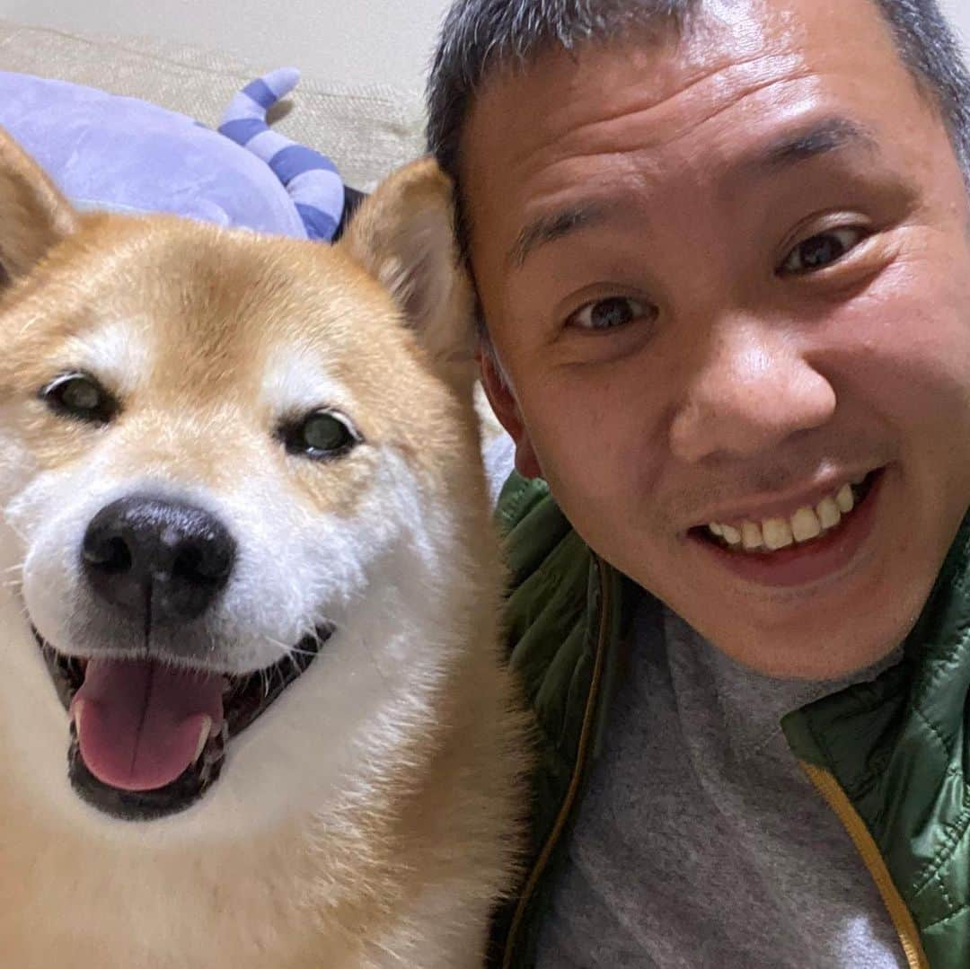 まる（まるたろう）さんのインスタグラム写真 - (まる（まるたろう）Instagram)「Stay safe. Stay home.✨🐶👴🏻✨みんな、不要不急な外出は我慢しようね。 #お仕事の人は気をつけながら頑張ってね #まるはおうちでゴロゴロするよ #オーノーイーツ #注文しよっかな #あの肉 #stayhome」4月3日 20時21分 - marutaro