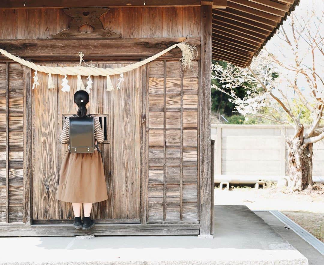 Rihoのインスタグラム：「定点撮り  小学校最後の春 早いなぁと しみじみ想う」