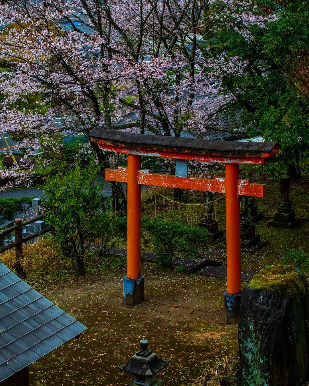 鹿児島よかもん再発見のインスタグラム：「霧島市牧園町の東光寺跡にて(^-^)/ 通りすがりに見つけた場所でしたが、日本らしい風景だなぁと、感心しながら過ごしました。  #鹿児島 #鹿児島観光 #神社 #どんどん鹿児島 #桜 #日本 #japan #kagoshima #kagoshimaphotograph」