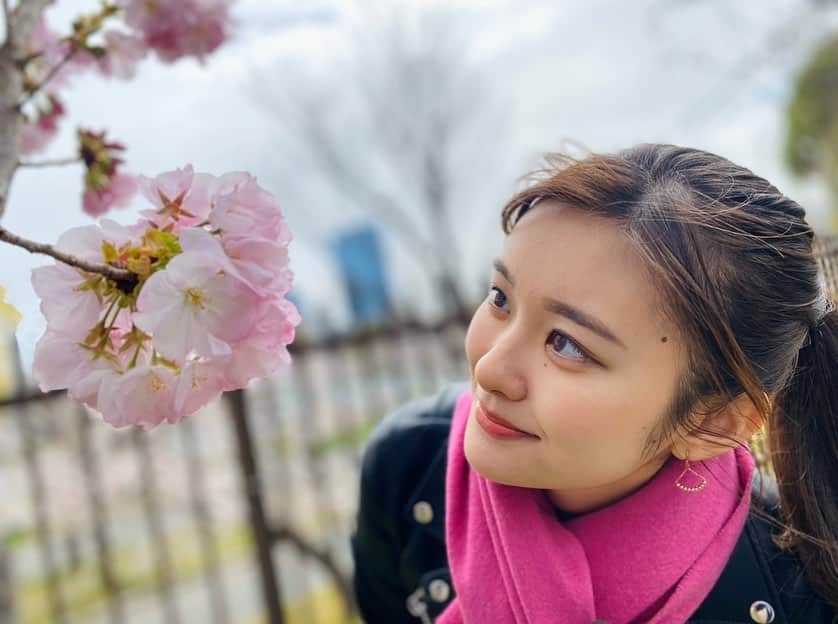 増田紗織さんのインスタグラム写真 - (増田紗織Instagram)「明日「おはよう朝日土曜日です♪」に出演いたします . 今年は造幣局の桜の通り抜けは中止ですが、今回特別に取材させて頂きました。 . お家にいらっしゃるみなさんに、テレビを通して桜をお届けできたらと思います🌸よろしくお願いします  #おは朝 #おは土 #桜 #造幣局 #造幣局桜の通り抜け #お花見 #春 #春服 #朝日放送 #アナウンサー #増田紗織」4月3日 20時36分 - saorimasuda_official