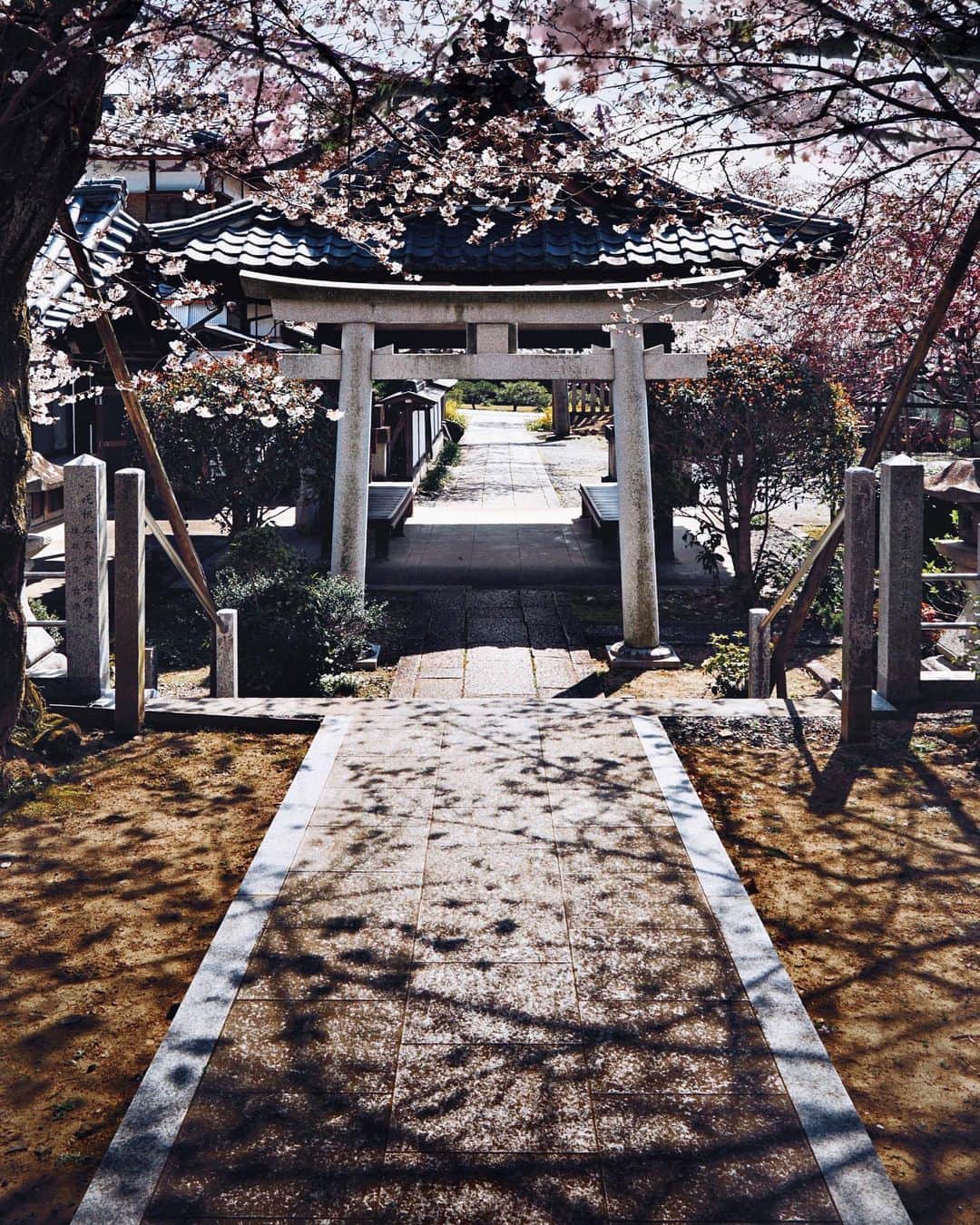Koichiのインスタグラム：「| Quiet shrine . . #BeautifulJapan #Hellofrom #Kyoto .」