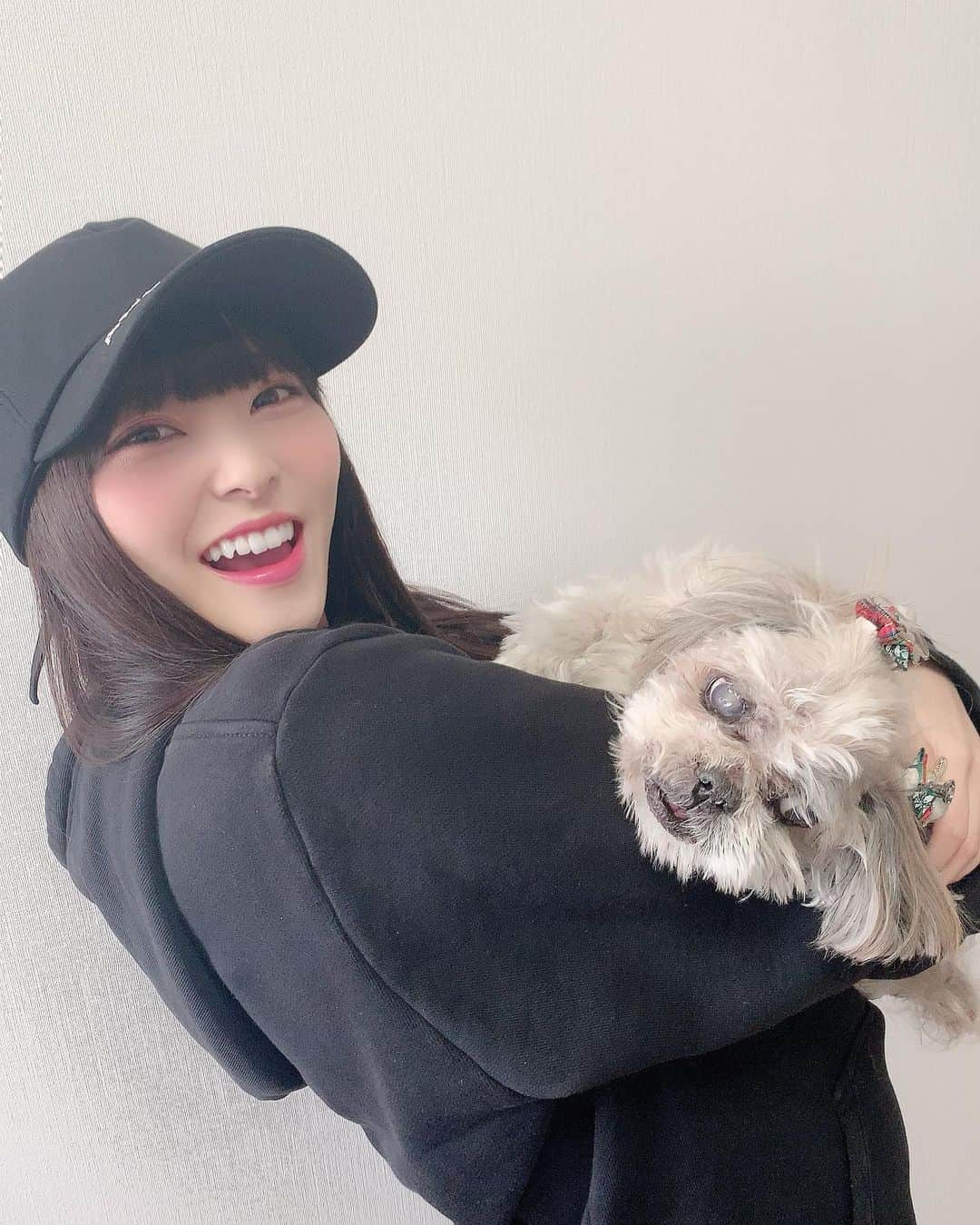 堀詩音さんのインスタグラム写真 - (堀詩音Instagram)「みんなはペット飼ってますか？🐶﻿ ﻿ ﻿ しおんは実家にシーズーの﻿ マルコムくんがいます🐶﻿ ﻿ ﻿ もう16歳だから﻿ 人間で言ったら80歳くらいかな…？🐶﻿ ﻿ ﻿ もう結構な大先輩だし﻿ しおんも犬アレルギーになったので﻿ 一緒にいろんなことはできなくなったけど﻿ いつまでもマルコムくんがナンバーワン🐶﻿ ﻿ ﻿ #シーズー﻿ #犬アレルギー」4月3日 21時06分 - shion_hori