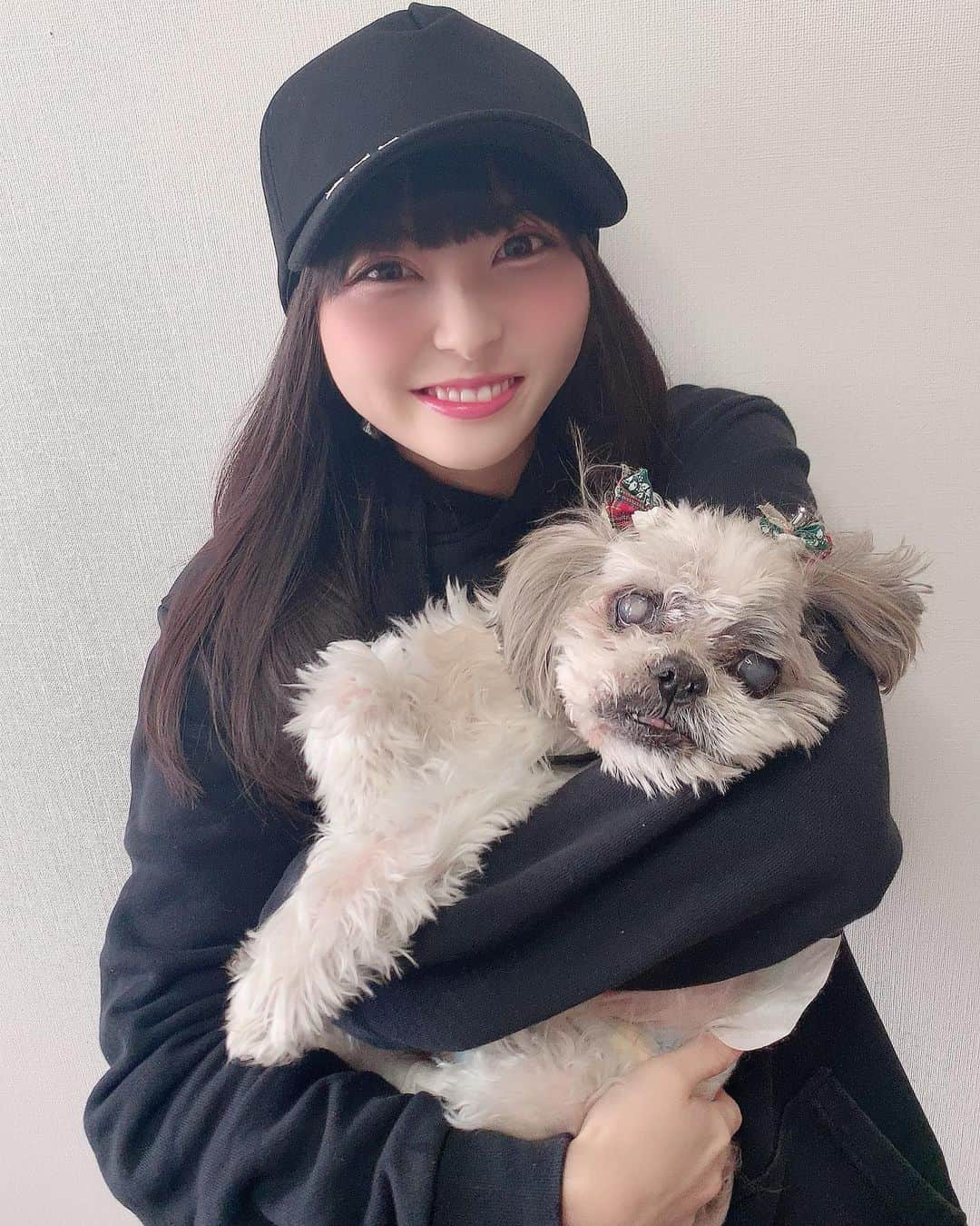 堀詩音さんのインスタグラム写真 - (堀詩音Instagram)「みんなはペット飼ってますか？🐶﻿ ﻿ ﻿ しおんは実家にシーズーの﻿ マルコムくんがいます🐶﻿ ﻿ ﻿ もう16歳だから﻿ 人間で言ったら80歳くらいかな…？🐶﻿ ﻿ ﻿ もう結構な大先輩だし﻿ しおんも犬アレルギーになったので﻿ 一緒にいろんなことはできなくなったけど﻿ いつまでもマルコムくんがナンバーワン🐶﻿ ﻿ ﻿ #シーズー﻿ #犬アレルギー」4月3日 21時06分 - shion_hori