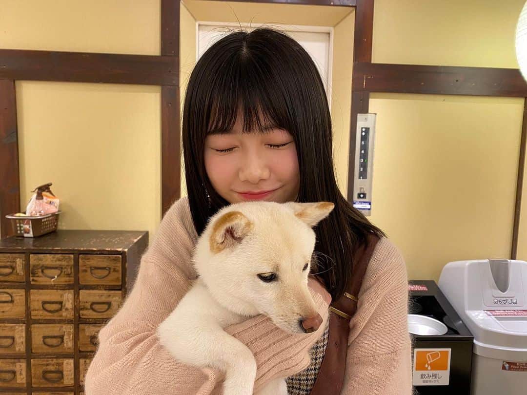千葉恵里さんのインスタグラム写真 - (千葉恵里Instagram)「柴犬とえりい⭐️ 全然わんちゃんに懐かれなかった(--;) ・ ・ ・ #柴犬カフェ #柴犬 #ドラ2 #AKB48 #わんちゃん #生写真」4月3日 21時10分 - eriierii_1027