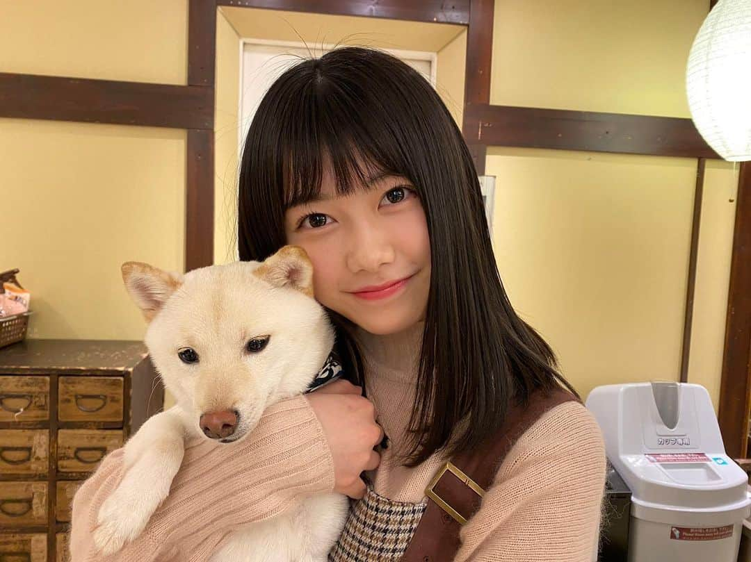 千葉恵里さんのインスタグラム写真 - (千葉恵里Instagram)「柴犬とえりい⭐️ 全然わんちゃんに懐かれなかった(--;) ・ ・ ・ #柴犬カフェ #柴犬 #ドラ2 #AKB48 #わんちゃん #生写真」4月3日 21時10分 - eriierii_1027