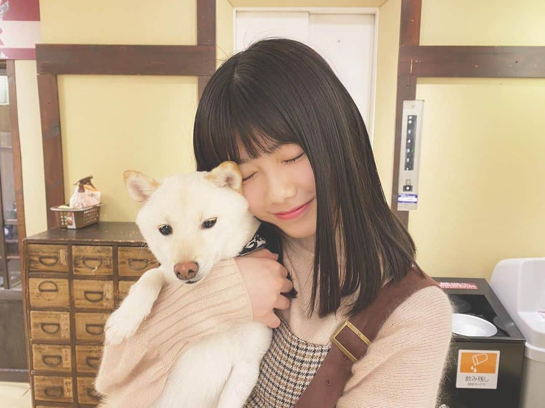 千葉恵里さんのインスタグラム写真 - (千葉恵里Instagram)「柴犬とえりい⭐️ 全然わんちゃんに懐かれなかった(--;) ・ ・ ・ #柴犬カフェ #柴犬 #ドラ2 #AKB48 #わんちゃん #生写真」4月3日 21時10分 - eriierii_1027