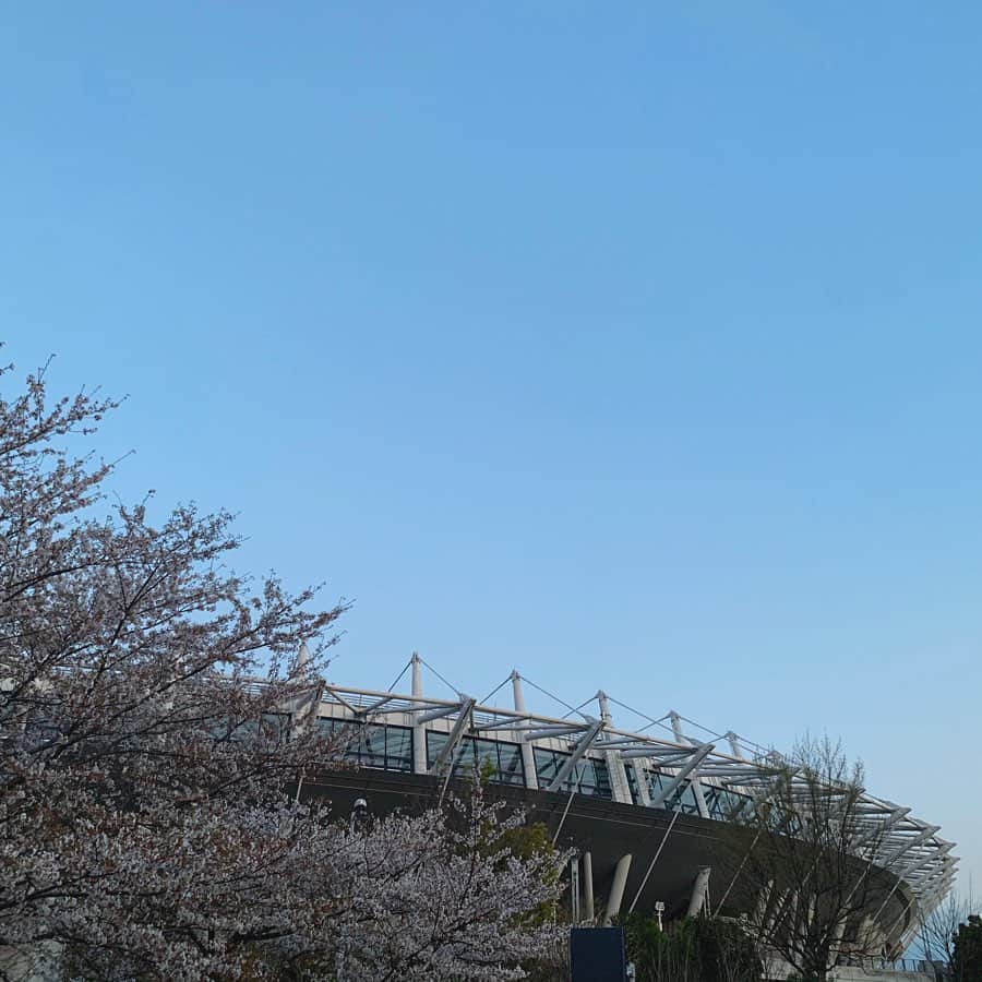 石川直宏さんのインスタグラム写真 - (石川直宏Instagram)「昨日のインスタライブ観ていただいた方ありがとうございました✨ 用事があって調布事務所へ。帰りに味スタと桜を観たくなって。せっかくだからみんなと共有したいなと🏟🌸 . 近いようで遠いな。 でも変わらずに待ち続けてるよ。 . ユーロスポーツにも寄りました♪ リニューアルした雰囲気を早くみんなにも感じてもらいたいな。 . #味スタ と #桜 #ユーロスポーツ #ナオさんぽ #fctokyo #FC東京 #tokyo #youllneverwalkalone  #YNWA」4月3日 21時16分 - sgss.18