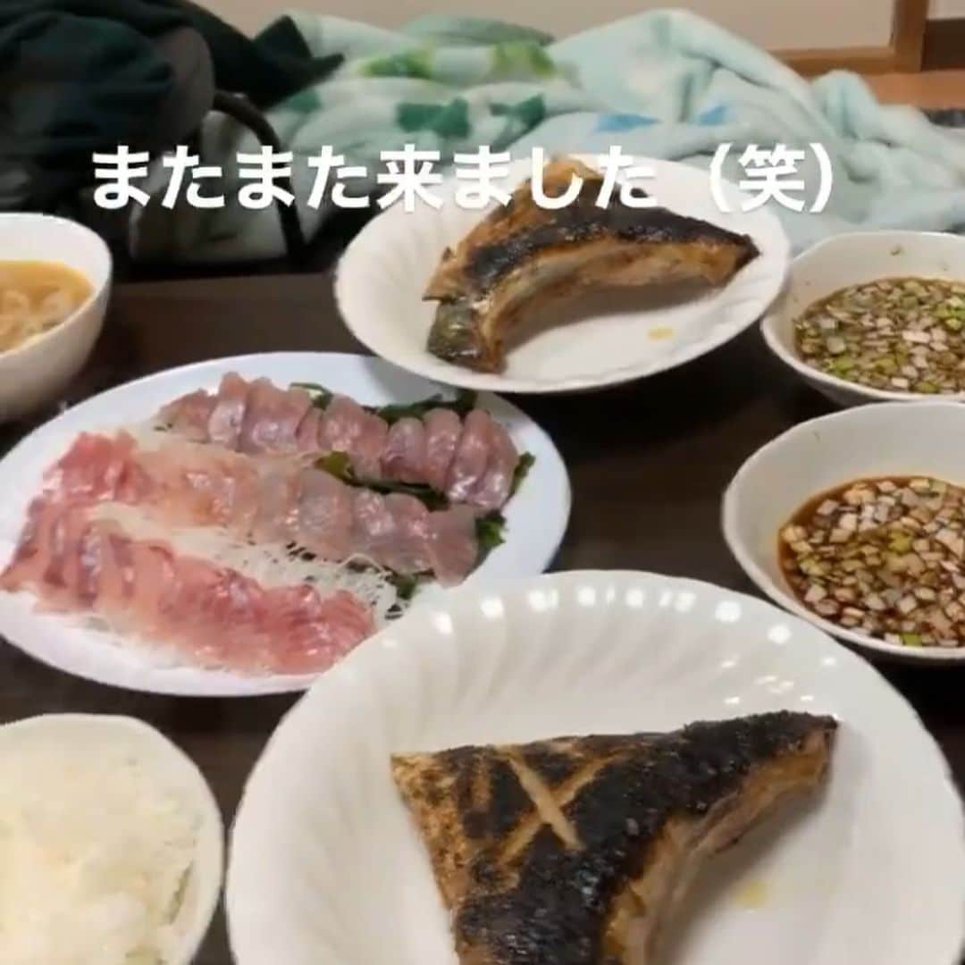 森薗政崇さんのインスタグラム写真 - (森薗政崇Instagram)「ブリカマは塩焼きに メバルはお造りに ホタテはバターと醤油で 先輩はいつもどおりの態度で  #ぶりかま　#めばる　#ほたて」4月3日 21時57分 - masataka0405