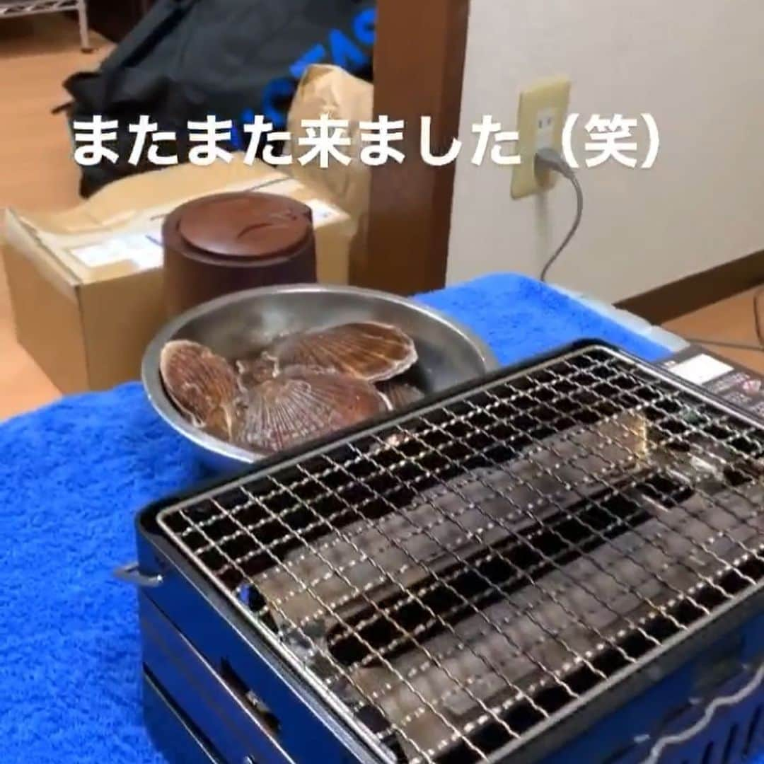 森薗政崇さんのインスタグラム写真 - (森薗政崇Instagram)「ブリカマは塩焼きに メバルはお造りに ホタテはバターと醤油で 先輩はいつもどおりの態度で  #ぶりかま　#めばる　#ほたて」4月3日 21時57分 - masataka0405