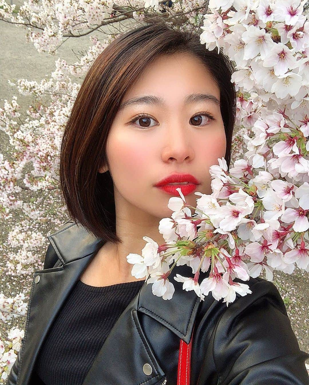 奥野由さんのインスタグラム写真 - (奥野由Instagram)「家の前の桜も満開で、もうそんな時期か〜ってなった🌸犬のお散歩しかお外出てない🐕お花見もできひんし、おうち時間ばっかり😭こんなん全く想像してなかったけど、今はほんまにただひたすら我慢しよう。 はやく、元どおりの生活ができますように🙏 はやく皆に会えますように🙏  #cherryblossom  #桜  #stayhome  #おうち時間  #prayfortheworld」4月3日 22時10分 - __yuu___