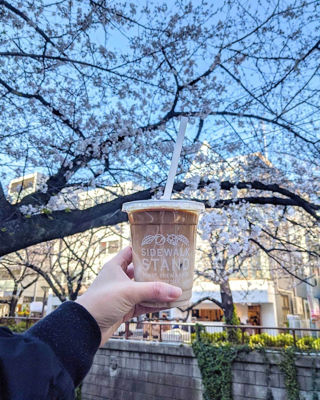 鍋島のぞみのグルメインスタ