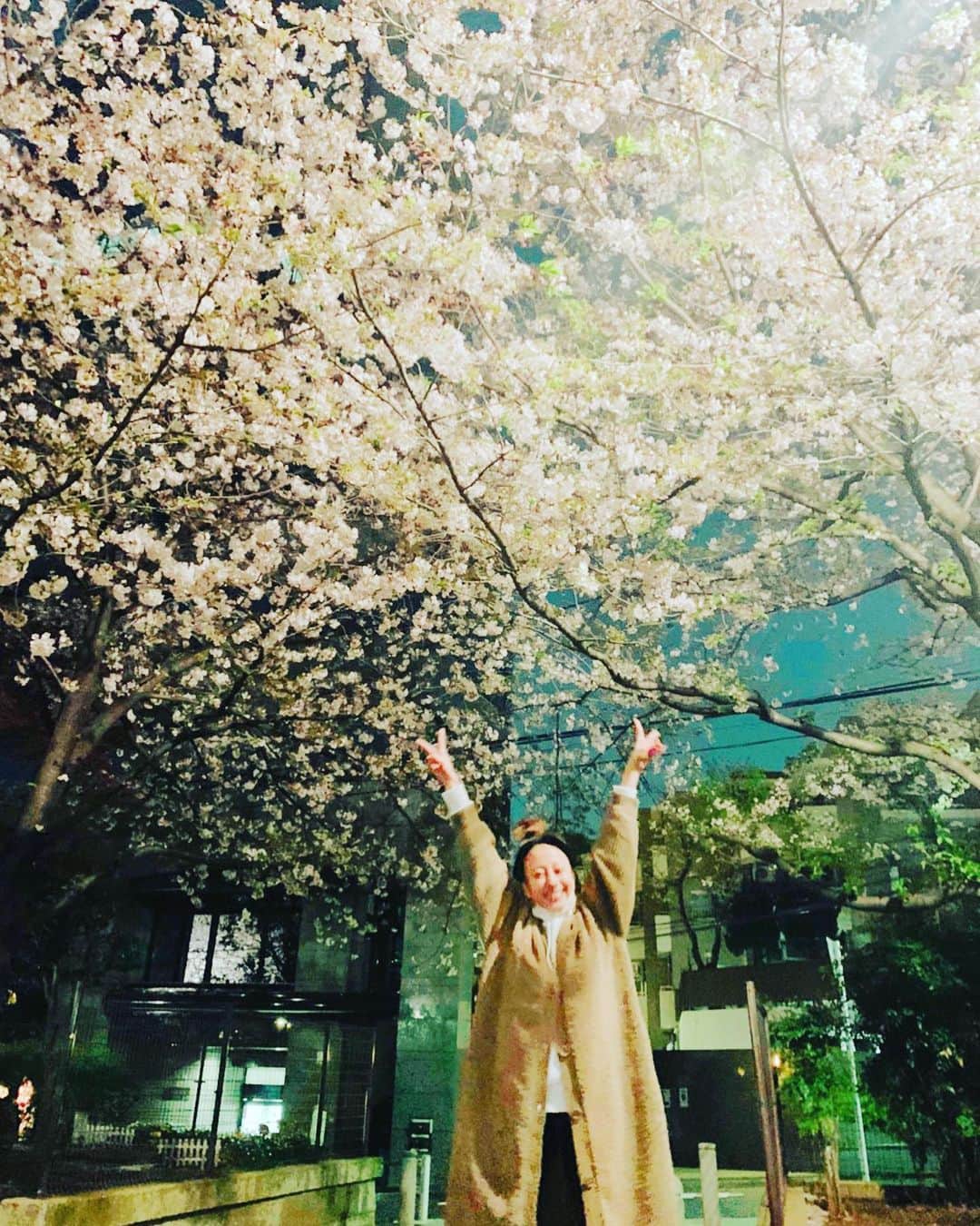 あびる優さんのインスタグラム写真 - (あびる優Instagram)「帰り道に、、、🌸✨ 1枚目のお写真、顔面どうなってるの的な決定的瞬間🤪💦 #sakura#spring#春#夜桜##桜#サクラ#さくら」4月3日 23時10分 - yuabiru74