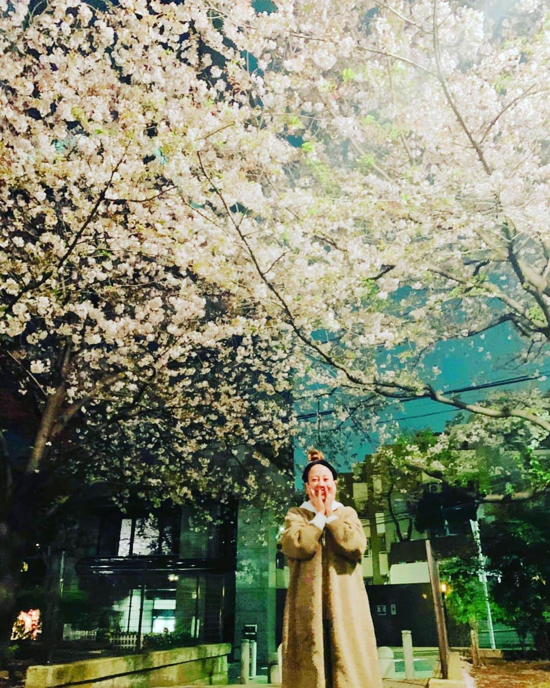 あびる優さんのインスタグラム写真 - (あびる優Instagram)「帰り道に、、、🌸✨ 1枚目のお写真、顔面どうなってるの的な決定的瞬間🤪💦 #sakura#spring#春#夜桜##桜#サクラ#さくら」4月3日 23時10分 - yuabiru74