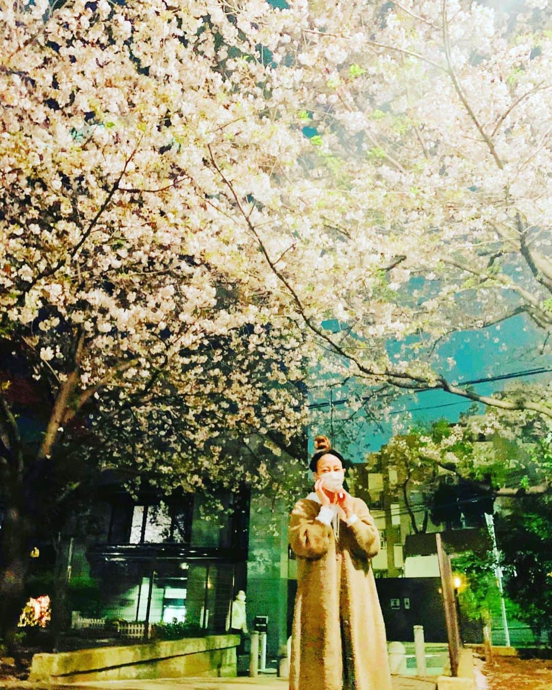 あびる優さんのインスタグラム写真 - (あびる優Instagram)「帰り道に、、、🌸✨ 1枚目のお写真、顔面どうなってるの的な決定的瞬間🤪💦 #sakura#spring#春#夜桜##桜#サクラ#さくら」4月3日 23時10分 - yuabiru74