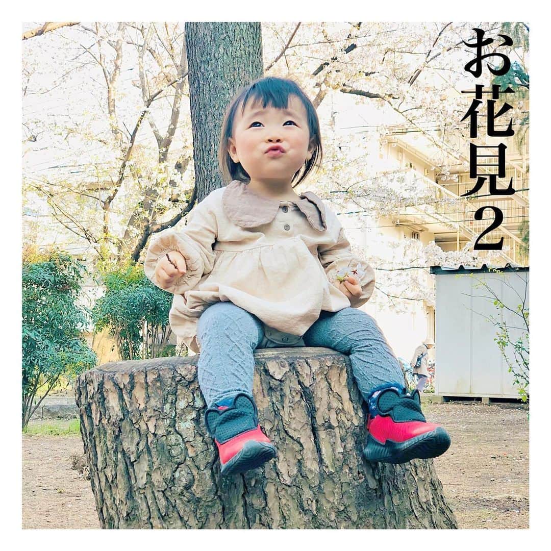 mamamizu.32のインスタグラム：「と、いっても見るだけ〜﻿ ﻿ ﻿ ﻿ 今週末も自粛のため、不要不急の外出は﻿ 引き続き控えなさいとのことですが、﻿ ゆっちゃんは30分限定で家の近くの公園で﻿ 体力消耗活動しております😹😹﻿ 家の中とベランダだけでは子供も飽きるし😹﻿ ストレスは活性酸素で免疫さげるので、﻿ 毎日短時間ですが、ゆっちゃんには重要外出🥺﻿ 誰とも触れず自然と触れ合い帰るという。笑﻿ ﻿ ﻿ なんと！逆に公園はいつもの倍以上混んでるの！﻿ ちょっと怖いかなーとも思いました！﻿ なのでもちろん人混み避けてはいるのですが、、﻿ というのも子供だけじゃなくてご高齢の方から、﻿ 犬の散歩してる方やら、学生やら、、﻿ とても小さい公園なのに、人はたくさん！！﻿ ﻿ ﻿ でもみんな唯一いけるのが近所の公園で﻿ 運動は外出として可能と言われたらそれは﻿ でるよなぁ、なんて思いつつ🤔﻿ わたしも公園に毎日30分出向いてます🥺﻿ ﻿ ﻿ ﻿ ﻿ 在宅ママさんたち、乗り切りましょう🥺❣️✊🏻﻿ ﻿ ﻿ ﻿ ﻿ ﻿ ﻿ ﻿ ﻿ ﻿ ﻿ ﻿ ﻿ ﻿ ﻿ ﻿ ﻿ ﻿ ﻿ #ベビライフ#ままべび#rainbowmamababy#スマイル育児#たまひよベストショット#親バカ部ig_baby#コノビー#ママカメラ#子育てぐらむ#ベビフル#コドモノ #fammカメラ部#ママリ#ママタス#ハピベビ#ままのて#uptoyoume#コドモノ代弁#イットママ#キズナ#コズレ#fammカメラ部#赤ちゃんのいる生活#赤ちゃんのいる暮らし#赤ちゃんとの暮らし#1歳#女の子ママ#東京ママ#ママ友募集#不要不急の外出自粛」