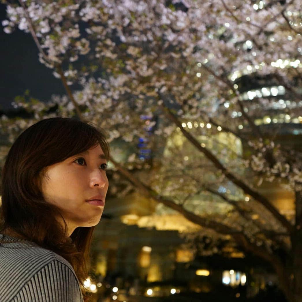 宮崎文子のインスタグラム：「出会いと別れの季節。  年度末であり、年度始の今週。 今の仕事になって、弟・妹のように思ってた後輩たちが、卒業を迎えました。  彼らに何かできたかというよりは、 わがままを聞いてもらったり、 愚痴に付き合わせたり、 いじられたりと、  なんだかかまってもらったという認識の方が強いのですが いち早く名前を覚えてくれて仕事ができた仲間として、 その背中を押してあげたいと思います。  写真は弟分が撮ってくれたもの。  どんなに世界の波がきたとしても、絶えず花を咲かす桜のように、しなやかな未来を願っています  #エール #桜 #夜桜 #卒業 #ありがとう #大輪の花を咲かせてね」