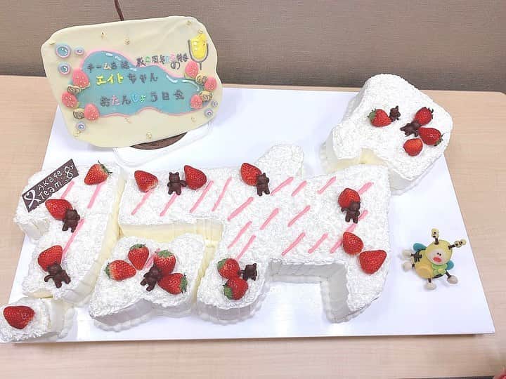 行天優莉奈さんのインスタグラム写真 - (行天優莉奈Instagram)「4月3日チーム8🐝6周年！！ エイトちゃん6歳のお誕生日とっても素敵なケーキを用意していただきました✨ 6年長いようであっとゆうま！！ チーム8メンバーとたくさん素敵な思い出作っていきたいです♪♪ 7年目もビックリ行天‼️させるけんなぁ😳  #チーム8 #6周年　#エイトちゃんのおたんじょう日会」4月4日 0時18分 - yurina.0314