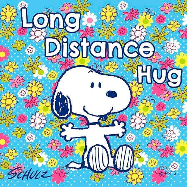 スヌーピーさんのインスタグラム写真 - (スヌーピーInstagram)「Sending long distance hugs!」4月4日 0時32分 - snoopygrams
