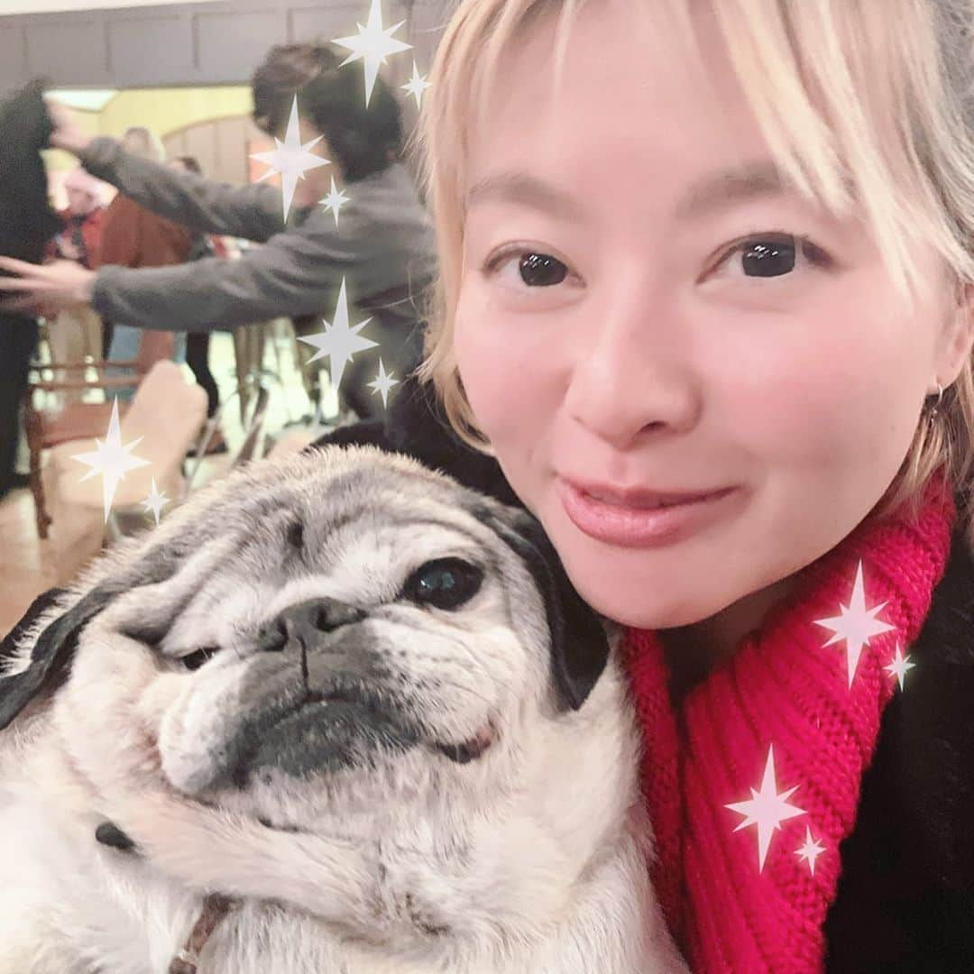 吉野紗香さんのインスタグラム写真 - (吉野紗香Instagram)「We love studying film🤓💕#sundance2020 #sundancefilmfestival #pug #muffin #love #study film」4月4日 0時36分 - sayakayoshino_official