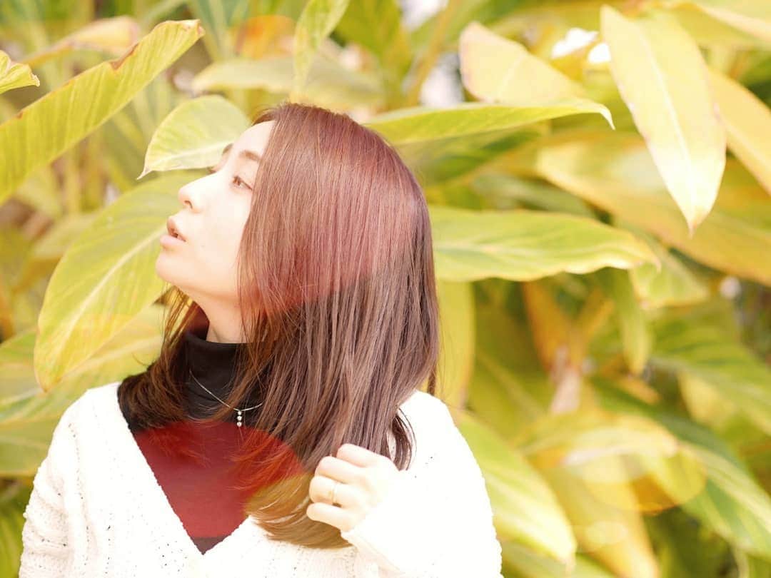 柚月美穂のインスタグラム：「. . 改めて*•｡.* ﾟ* . ﾒｯｾｰｼﾞ等 ありがとうございました☺︎ Twitterはｲｲﾈ♡でお返し。 （返信するとTLに載ることもあるので数が💦） . こちらには出来るだけ😊 ちなみにDMは今新しく承認はしていないので お返事出来ませんのでコメントへ〜🙆 . . 早くまた みんなで明るい話で笑い合えるようになります様に*•｡.* ﾟ* . ありがとう♡ . . #Japanese #Actor #cameraman #camerawoman #picoftheday #instagood #fashion #happy #followme #follow #art #me #instadaily #style #photography #fun #instalike #igersInstagrammers #photo #tokyo #japan」