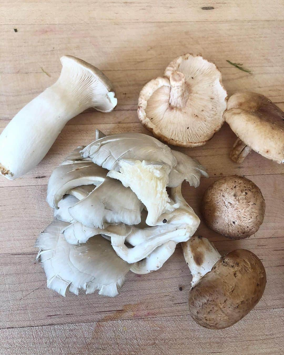 アリシア・シルヴァーストーンさんのインスタグラム写真 - (アリシア・シルヴァーストーンInstagram)「Mushroom magic from the farmers market ✨ For miso soups, tacos, and I love to sauté them in olive oil w/ shoyu & lemon. How do you like your 🍄?」4月4日 2時51分 - aliciasilverstone