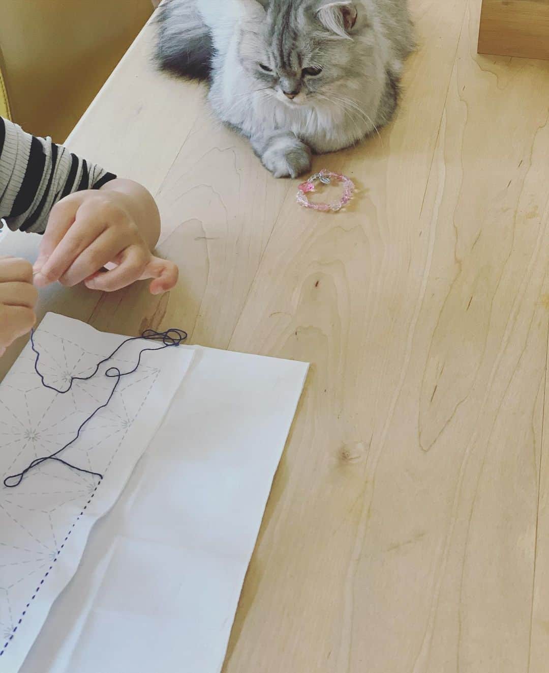 奥菜恵さんのインスタグラム写真 - (奥菜恵Instagram)「刺し子姉妹。娘たちに布巾を作ってもらっています。  #刺し子 #花ふきん  #手芸 #stayhome  #猫 #cat」4月4日 13時02分 - megumi_okina