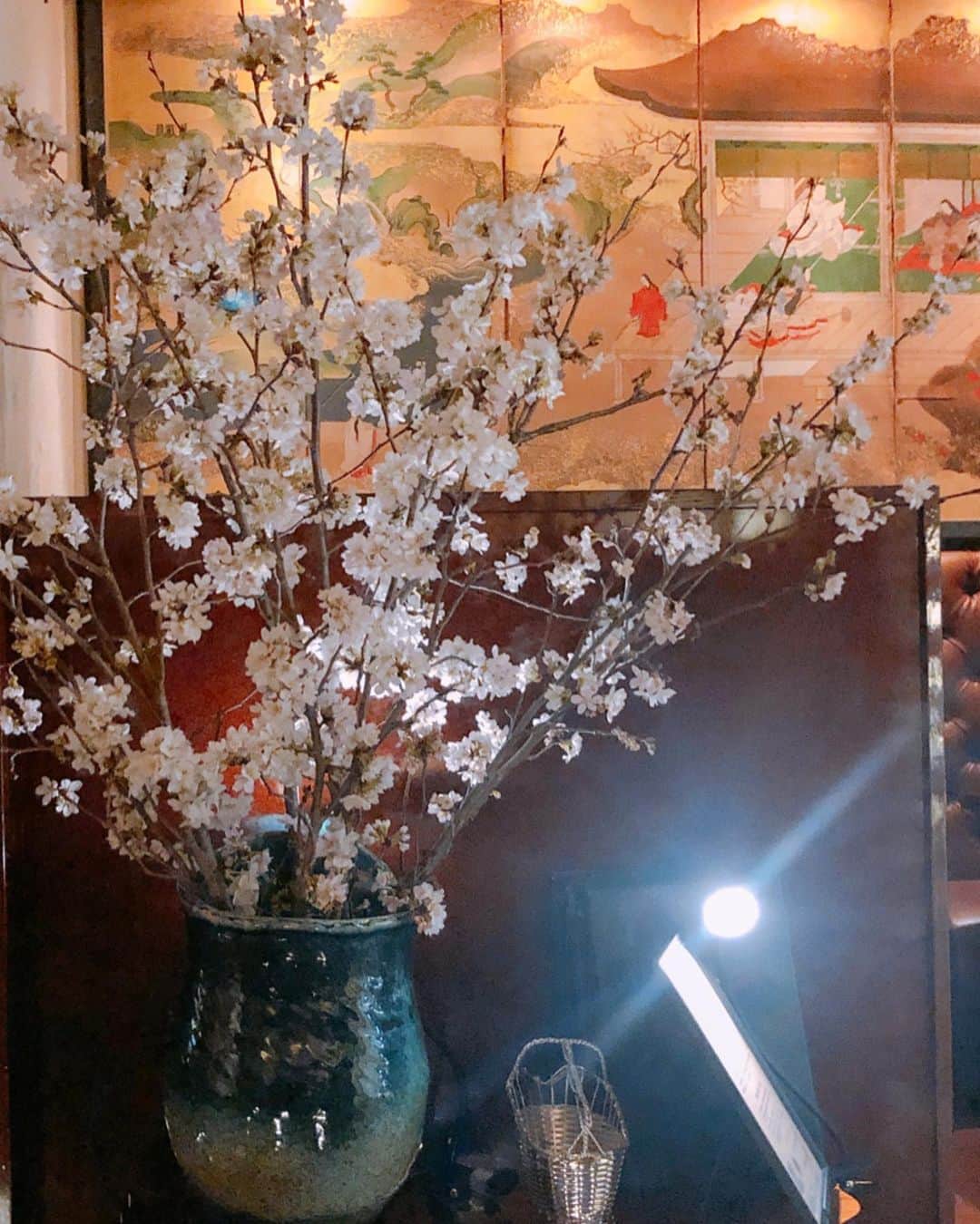 Taki Tanakaさんのインスタグラム写真 - (Taki TanakaInstagram)「今年はこの状況なのでBD会をせずに少人数でごはんを食べる予定でしたが、それももちろん中止に。 当日の夜はいろいろ準備してくれていた@yappy126 のお店へひとりで伺いました。 ・ 店内には私の誕生日に合わせて咲くように生けられた桜が、美しく花開いていました。 #🌸#感謝  #落ち着いたらみんなで会いましょう  #stayhome #izastagram」4月4日 13時25分 - tanakataki