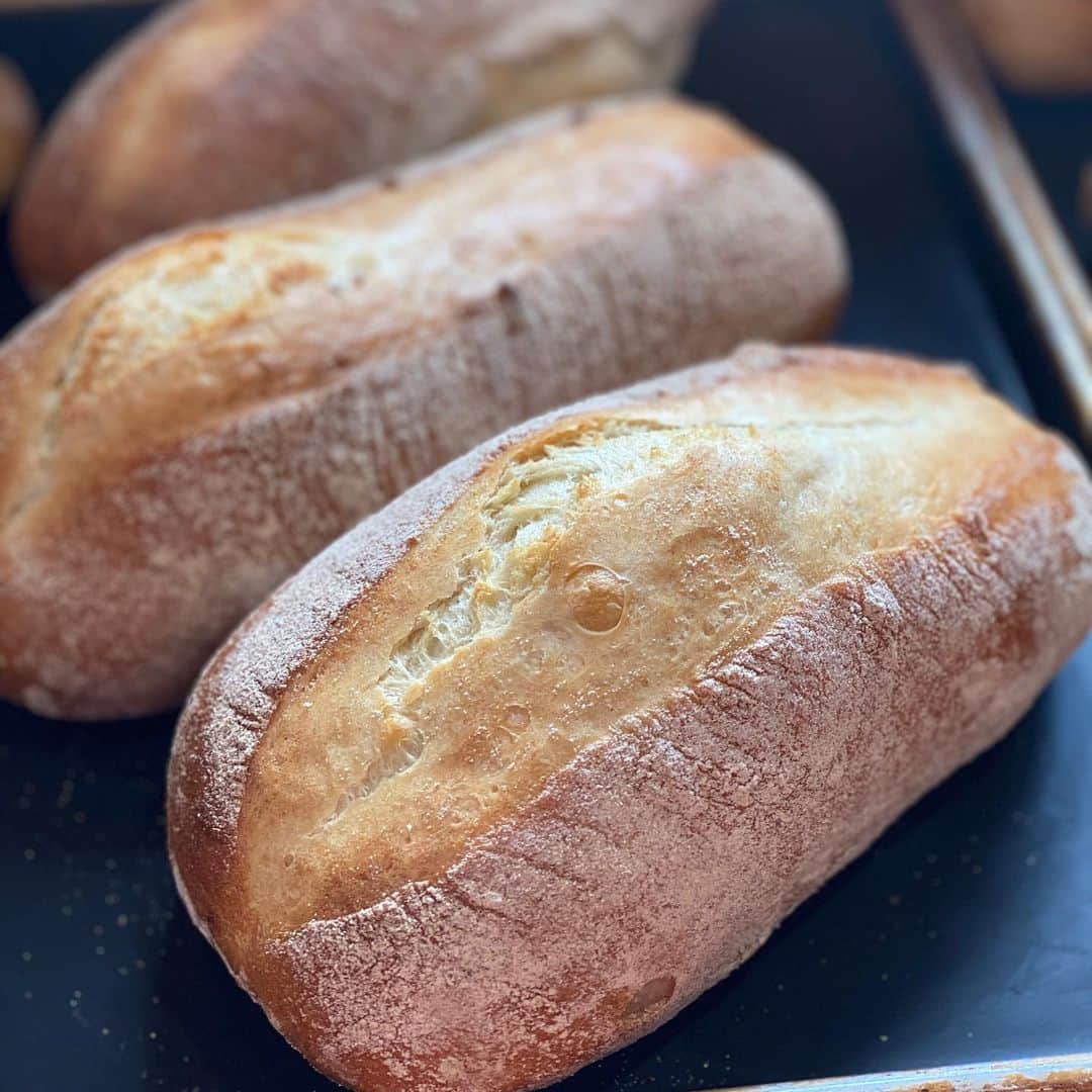 魔女菅原さんのインスタグラム写真 - (魔女菅原Instagram)「#ハード系パン #パーネトスカーノ  イタリアのトスカーナ地方の伝統的な塩分の少ないパンです。小麦粉の甘みや旨味がよく引き出されています。  #盛岡のパン屋  #盛岡のパン屋さん #盛岡のハード系 #自家製天然酵母のパン屋さんカンパーニュ  #魔女菅原」4月4日 13時26分 - hatsuyosugawara