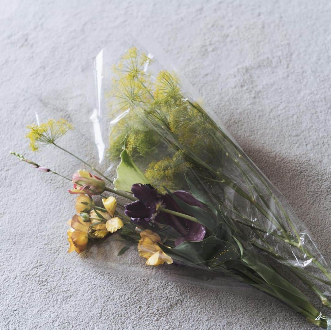 市川渚さんのインスタグラム写真 - (市川渚Instagram)「beautiful flowers from @chiemiwakai_duft 💐﻿ ﻿ ﻿ ﻿ 松陰神社のお花屋さん、duftさんが季節のお花のお任せパックのオーダーを承るとのことで、大小の花瓶に合わせて早速オーダーさせていただいた。﻿ ﻿ お花飾るだけで部屋がぱっと華やかになるなあ……近所にお花屋さんがないので、お花買いに行けないのがなかなかのストレスだったのだけれど、宅配してくださるのは本当に助かる😌﻿ありがとうございます。」4月4日 13時57分 - nagiko