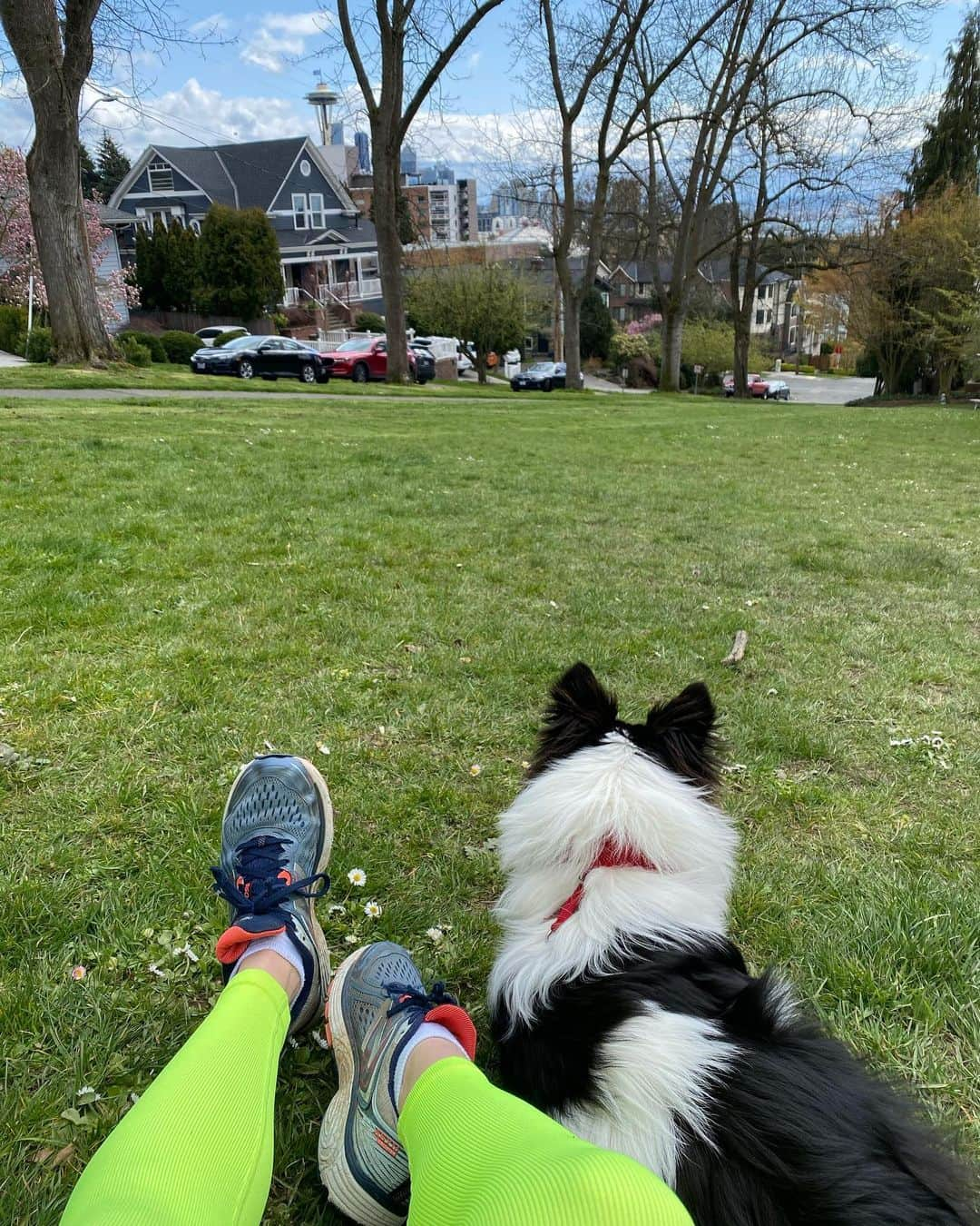 Monica Churchさんのインスタグラム写真 - (Monica ChurchInstagram)「Spring time with my boy 🐾🌼」4月4日 5時27分 - monicachurch