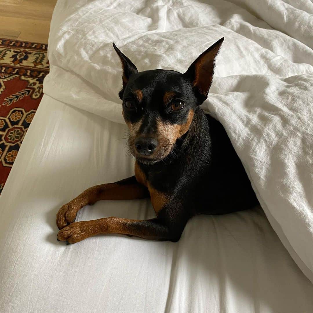 のインスタグラム：「My 3 Quarantine moods #stayhome / Mis 3 estados emocionales en cuarentena #yomequedoencasa Sabiendo el  privilegio que es poder quedarse en casa, mandando mucho amor y fuerza a mi Chile lindo 🏡 #sneakyhabibi」