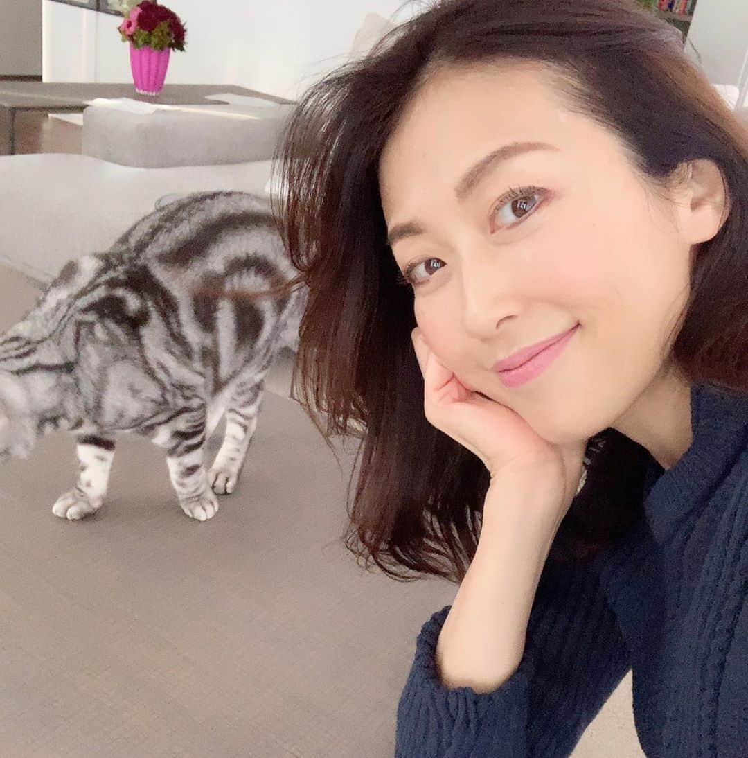 草間淑江さんのインスタグラム写真 - (草間淑江Instagram)「おはようございます！ ４月４日の朝です。 今朝は朝食おやすみ。 ゆっくり過ごしたいと思いますー❣️❣️❣️ 皆さま素敵な週末を😊 ・ ・ #朝食抜き#お腹空っぽ#素敵な週末を」4月4日 9時59分 - yoshie_kusama