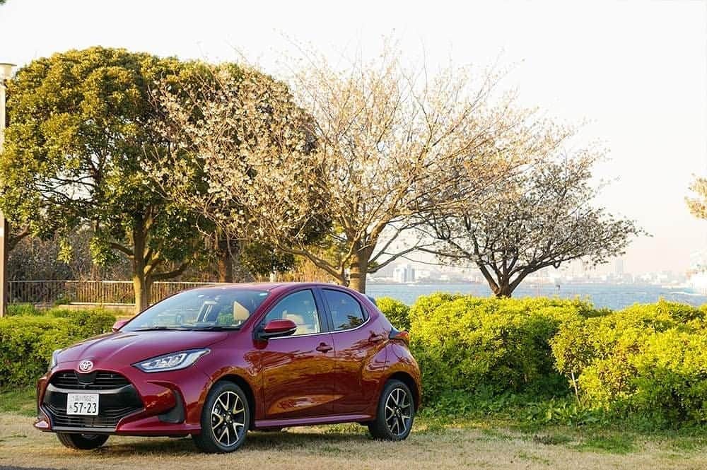 TokyoToyopet Girl meets carのインスタグラム