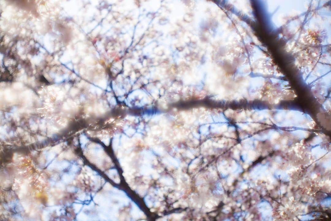 落合陽一のインスタグラム：「#yoichiochiai」