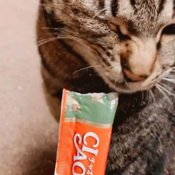 南口奈々のインスタグラム