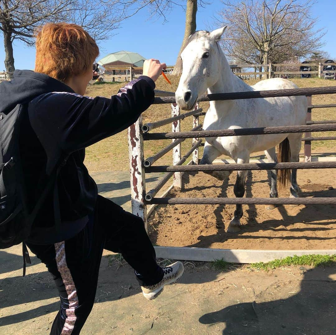 はらさんのインスタグラム写真 - (はらInstagram)「みんな！外出自粛で暗い気持ちにならないでね！  天気がいい写真みてると少しは外出た気分になるよ！  渚さんと後輩のたかぴんと行ったマザー牧場みて🌷( ᐛ )  まじで自由帳だった！  絶対ここで撮ってるよ！！！ #じゆうちよう #表紙 #絶対マザー牧場でしょ #そうでしょ？ #たかぴんア・ラ・モード  #渚さん  #マザー牧場  #最高の最高の最高の場所 #350万本の菜の花畑  #いつも花咲いててきれい🌼 #自然ありがとう  #また絶対行く！ #今は我慢が大事！！！ #イェエエエエエエイ！٩( ᐛ )و」4月4日 11時31分 - univershara