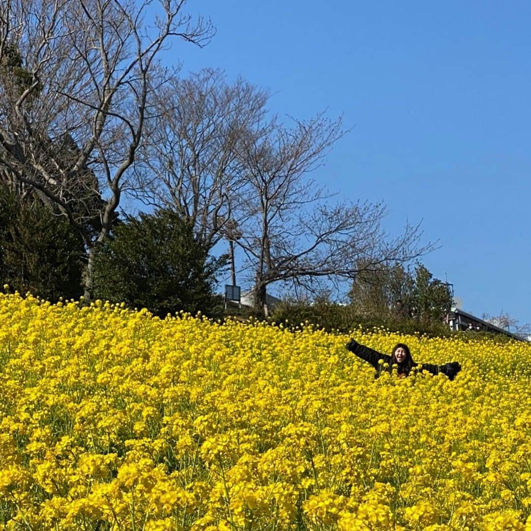 はらのインスタグラム