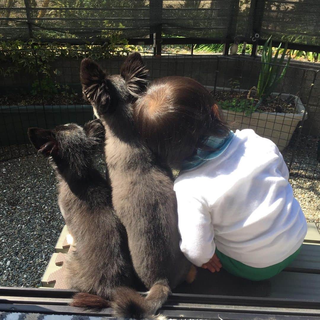 森本容子のインスタグラム