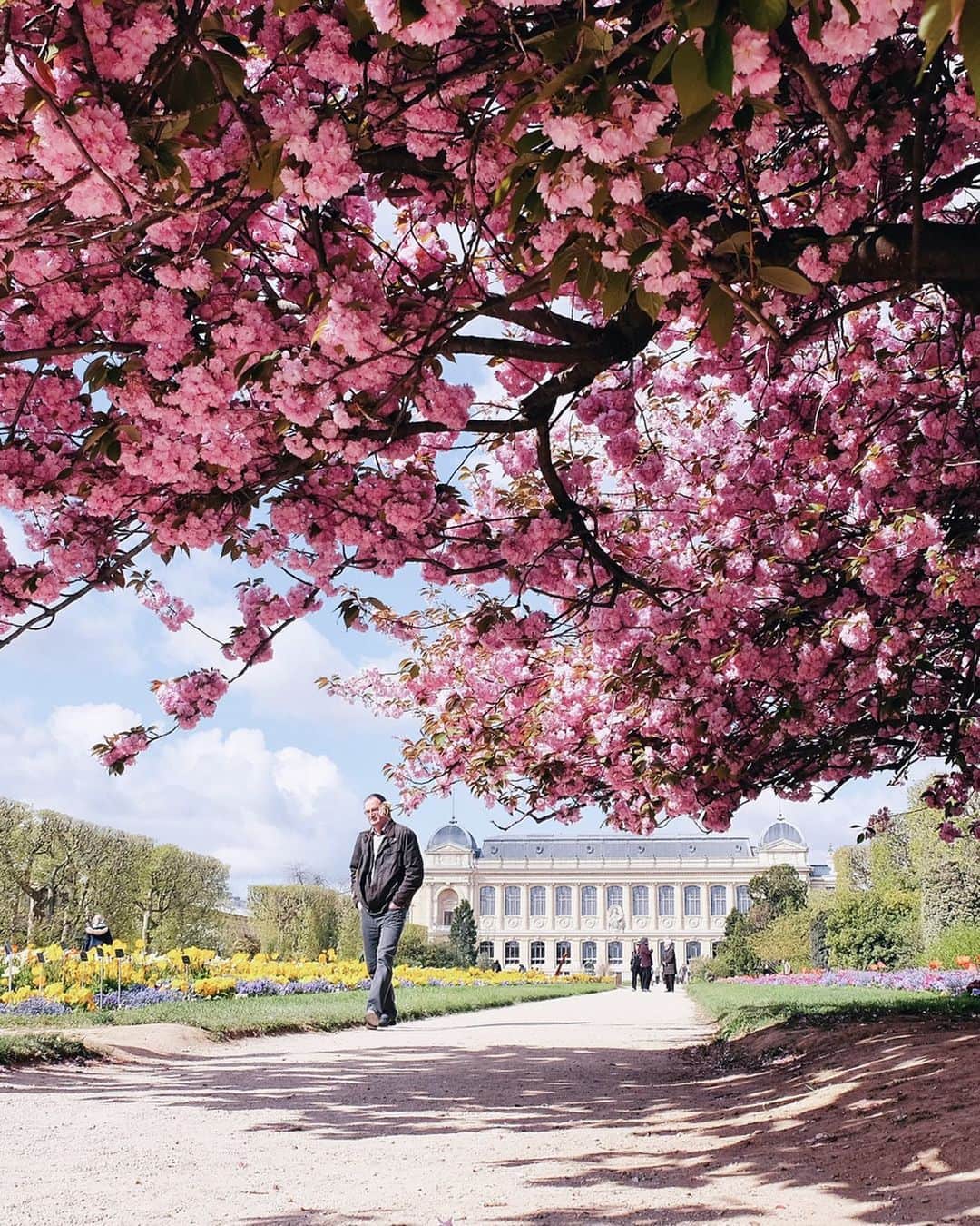 nathparisのインスタグラム：「FLOWERS... . 🇫🇷J’imagine que Paris est en fleurs aujourd’hui, je ne sais pas... je suis à la maison comme tout le monde, la nature, l’air et le vent sur mon visage me manquent mais c’est important de rester chez soi, le jour viendra ou nous pourrons enfin voir ces merveilles et se réjouir de la beauté qui nous entoure, j’ai hâte... . (Photos de Mars/Avril 2016/2018/2019) . Rester chez vous et prenez soin de vous 💛 . 🇺🇸I imagine Paris is in bloom today, I don't know ... I am at home like everyone else, I miss nature, the air and the wind on my face but it is important  to stay at home, the day will come when we can finally see these wonders and rejoice in the beauty that surrounds us, I can't wait ... . (Photos from March / April 2016/2018/2019) .  Stay at home and take care of you💛」