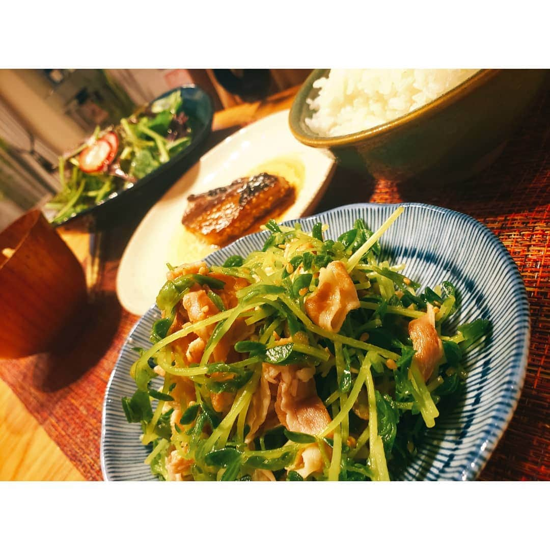 本田珠規さんのインスタグラム写真 - (本田珠規Instagram)「たまに載せるおうちごはん♡笑 基本、野菜多め🥗 &簡単に出来る和食！ . ↓これがとーっても美味しかった！ 【豆苗と冷しゃぶの和え物】 ・しょうゆ　大さじ2 ・みりん　大さじ1 ・お酢　小さじ1 ・酒　小さじ1 ・てんさい糖(砂糖)　大さじ1/2 ・すりおろしにんにく　小さじ1 ・ごま油　小さじ1 ※炒りごまをお好みの量‼️←忘れてました。 @kiiiiin37  金ちゃんのストーリーでやたらと豆苗が出てきて、豆苗が食べたくなったよ♡ . . このレシピの味付けは、 もやしとかほうれん草に チェンジしても美味そう♪ . . #和食#豆苗レシピ#和食大好き #おうちごはん#和食レシピ#おうち時間 #ラディッシュ#赤水菜#手作りドレッシング」4月4日 22時16分 - tamaki_honda_oscar