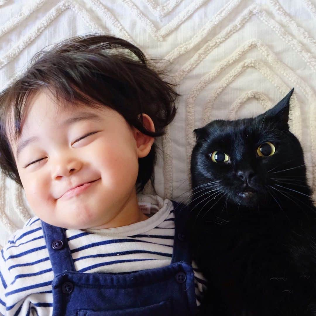 ギネス & ピムスさんのインスタグラム写真 - (ギネス & ピムスInstagram)「04/04/2020 Happy Caturday! ・ Two-shot photography: Nagi with brothers. Have a nice weekend, everyone! #stayhome . ・ ・ 今日の三兄弟。 お菓子片手にツーショット。 凪ねこのお菓子につられる事なく イケにゃんを発揮する王子と お菓子半分こしよーぜと言わんばかりの表情なピム丸。 そして好きが爆発して ピム丸のほっぺに顔を埋める凪ねこ（⑦枚目）でした。笑 今日も我が家は平和でした。 それでは週末もインドアキャットと おうち遊び楽しみます♬ 皆さま引き続き素敵な週末を。 ・ ・ #ギネスくん　 #ピムスくん #ギネピムと凪くん  #1yearold #1歳 #1歳4ヶ月 #16monthsold  #babyboy #男の子ベビー #赤ちゃんのいる生活 #赤ちゃんのいる暮らし #赤ちゃんと猫 #猫と赤ちゃん」4月4日 22時53分 - rina_takei