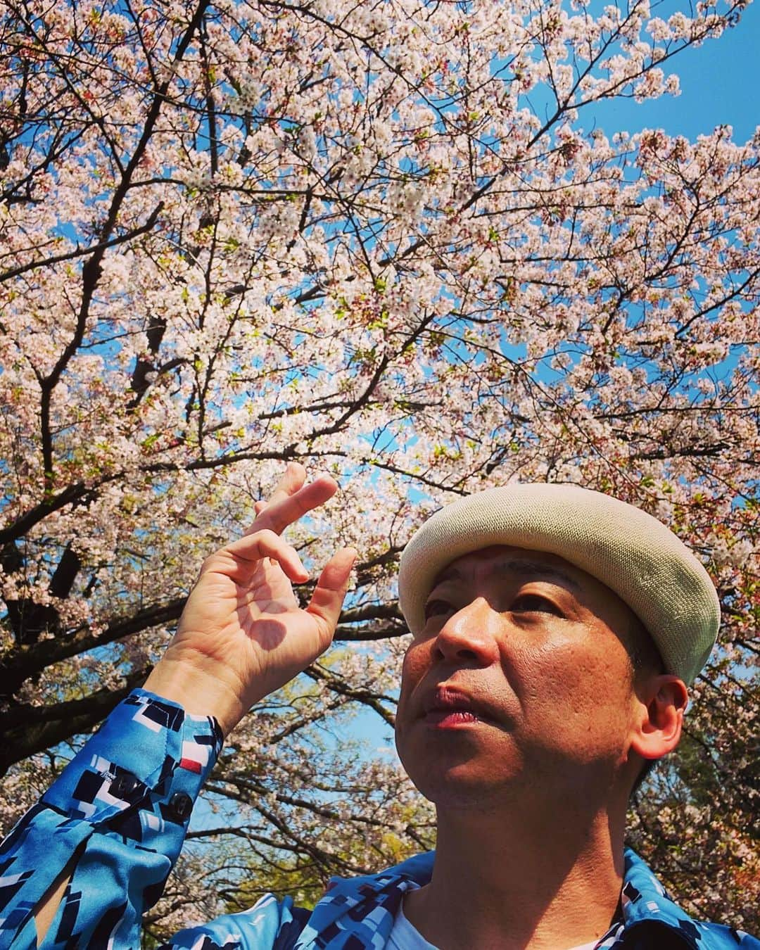 美川憲二さんのインスタグラム写真 - (美川憲二Instagram)「桜とヒデコの映え映え〜😍🌸🌸🌸🌸🌸🌸🌸🌸☺️✌️✌️ 東京の桜はまだまだ綺麗よ〜😍💕💕💕💕💕💕💕 #石神井公園 #お花見散歩  #映え映えー  #癒しの時間  #美川憲一 #美川憲二 #ヒデコフランセスカ #オネェ系 #今日はオカマの日 #記念写真撮影  #ものまね」4月4日 14時34分 - mikawakenji