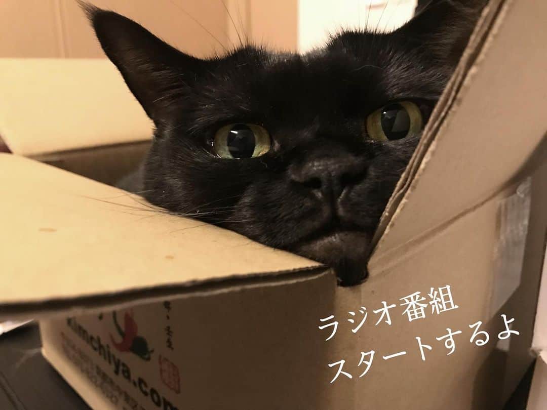 本間愛花のインスタグラム