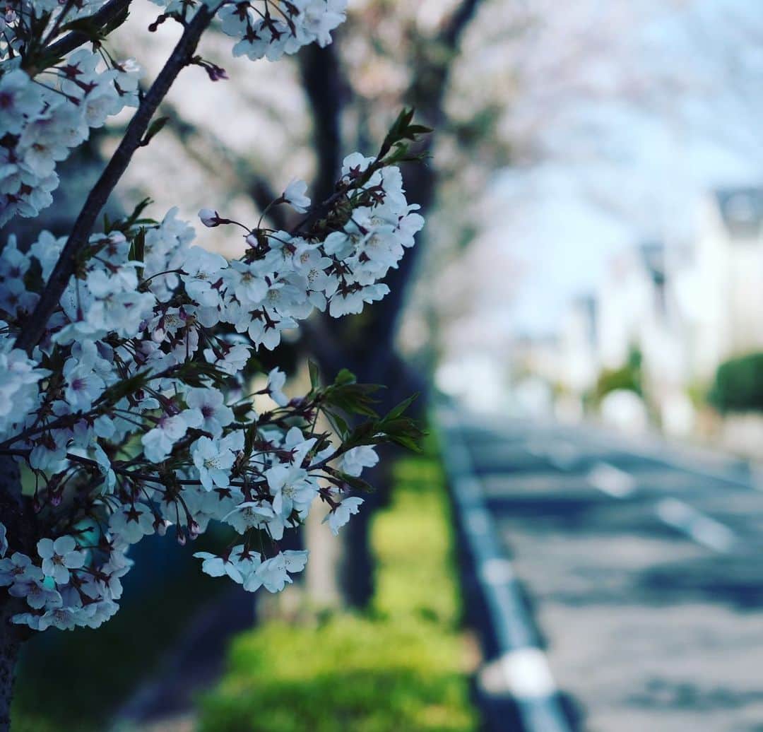 関沢圭司のインスタグラム
