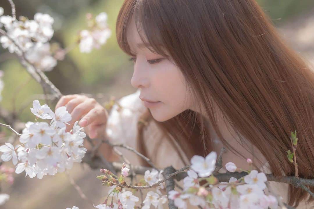 利咲のインスタグラム：「💋🌸﻿ ﻿ ﻿ #桜 #🌸 #さくら #桜の絨毯 #春 #spring #桜ポートレート #桜ポトレ #花 #flower #花ポトレ #新宿御苑 #cherryblossom #cherryblossoms #sakura #sakura🌸 #portrait #shooting #shinjukugyoen #japan #tokyo﻿ ﻿」