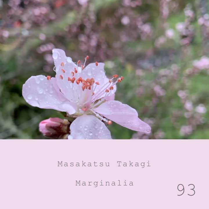 高木正勝のインスタグラム：「ここは山なので外に出ても大丈夫なのですが、畑を少し準備する程度にして、あとは部屋で勉強しています。学生の頃に戻ったようで新鮮です。今日は、静かな春の音になりました。  マージナリア　#93  https://takagimasakatsu.bandcamp.com」