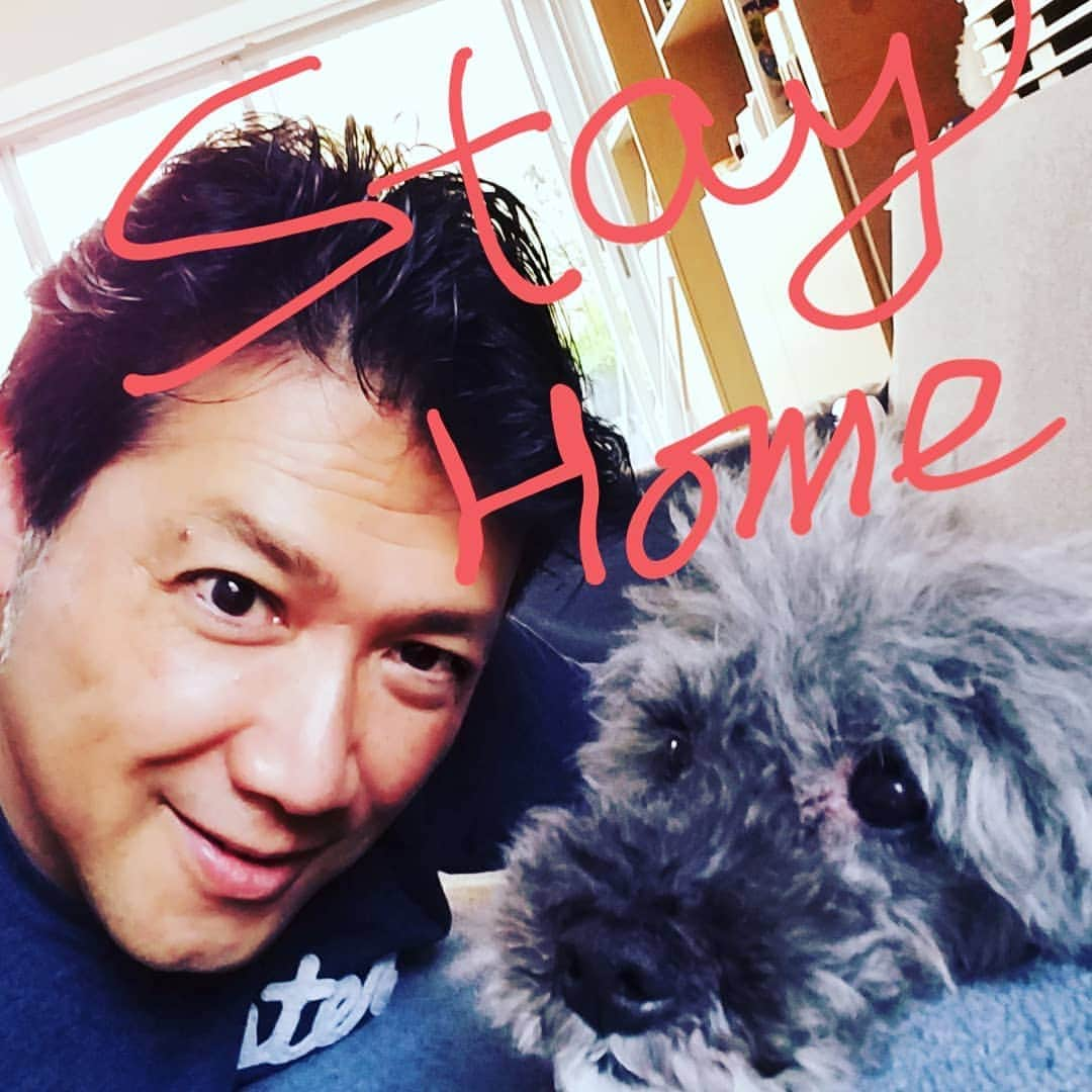 別所哲也さんのインスタグラム写真 - (別所哲也Instagram)「お家でワンコと！stay home #tetsuya_bessho #japan #tokyo #corona #dog  #poodle  #rescuedog」4月4日 17時27分 - tetsuya_bessho