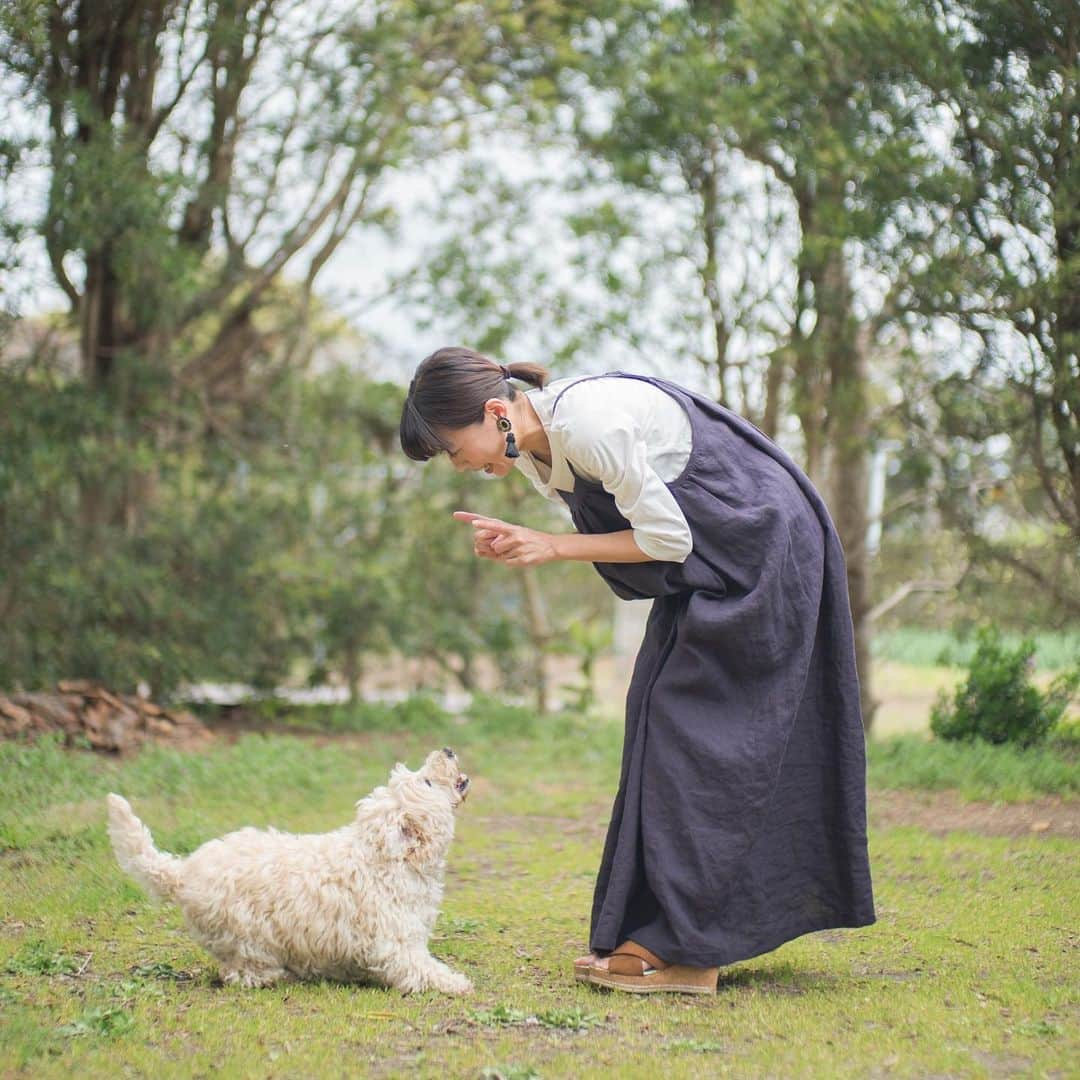 甲斐麻美さんのインスタグラム写真 - (甲斐麻美Instagram)「今日、めちゃめちゃ苦手なことに挑戦しました！ わたしゃね、とりあえず挑戦したことを褒めますよ（笑）  内容はYouTubeにて😆🙏 アップしたらお知らせしますね☺︎🌸 @kaico.to 更新しました  #YouTube #kaicohato夫婦 #いぬとわたし #犬のいる暮らし #mygarden #庭にて #甲斐麻美 #roughworkstore」4月4日 17時23分 - kaico_asami